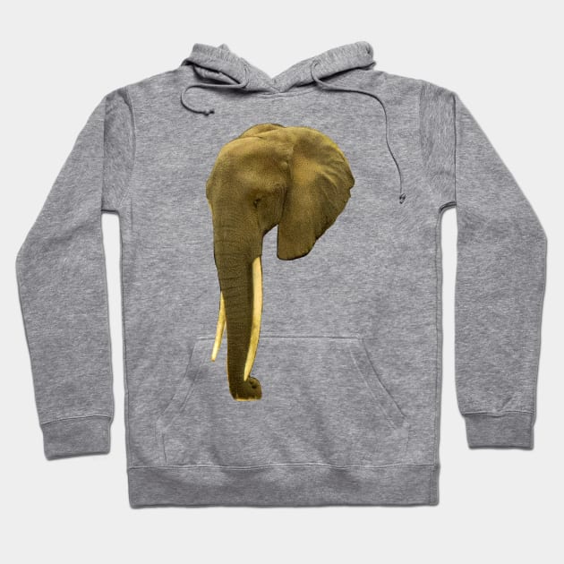 Portrait of an Elephant Hoodie by ellenhenryart